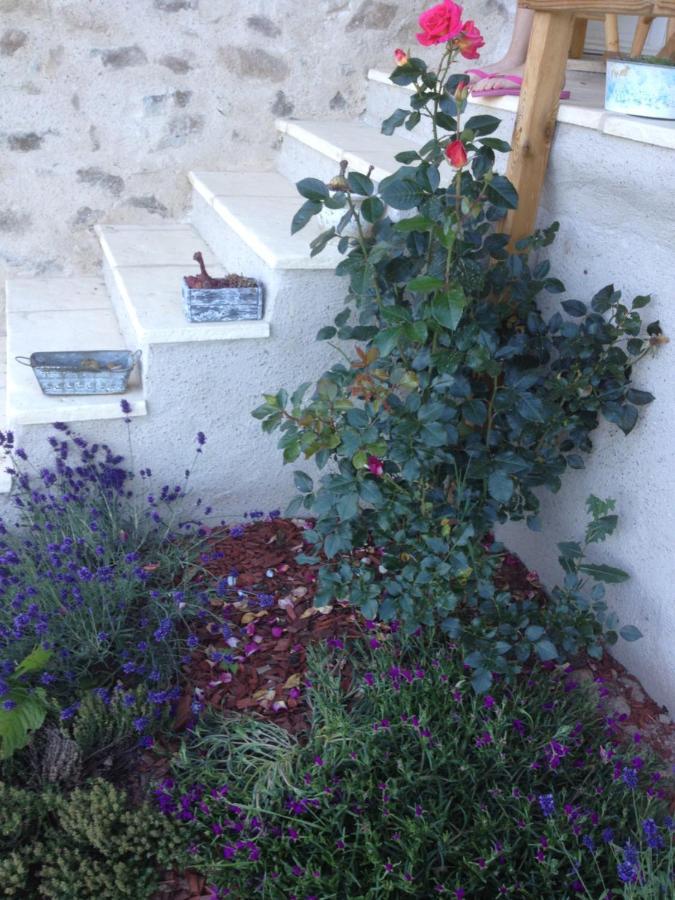 Le Domaine Des Terres Villa Saint-Appolinaire  Dış mekan fotoğraf